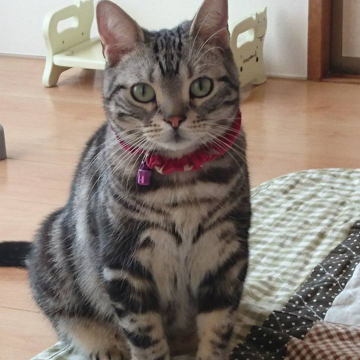 Cfbf2948 e4a5 40fc 93fc ccfc4bf6d42e