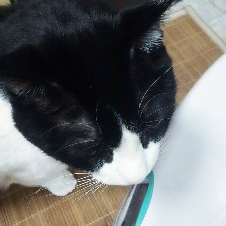 Cfbfaf41 3b4d 4dc3 9321 74cd2b22616e