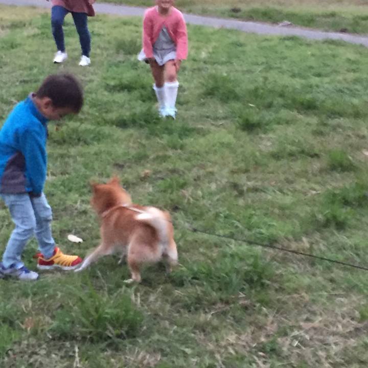 Cfc0d73e 3db1 43ab 89b9 7df5b838dc50