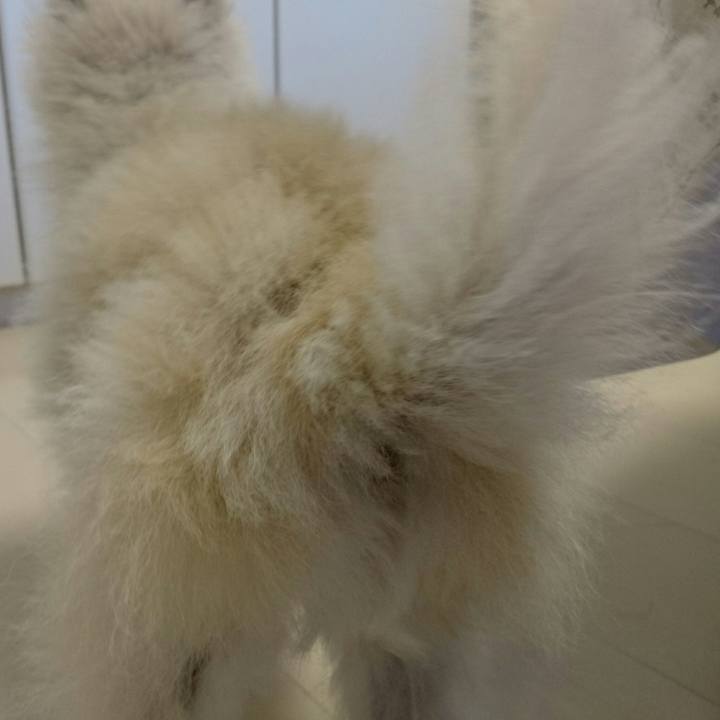 Cfc12118 0923 47dd be1d 2ba88f941753