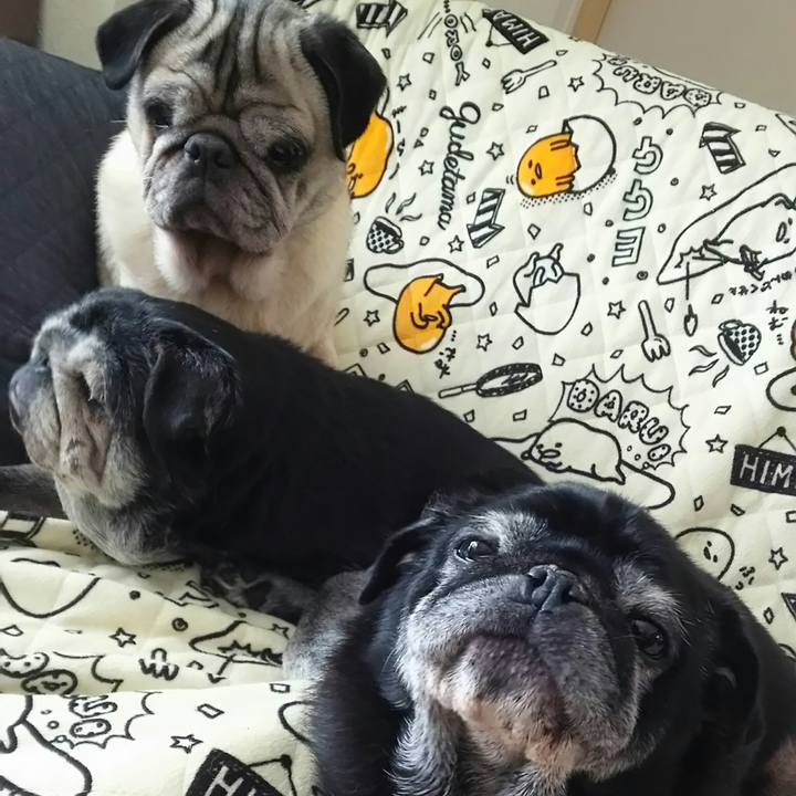 Cfc13a98 029e 48f9 9c8b 38bd3254aea8