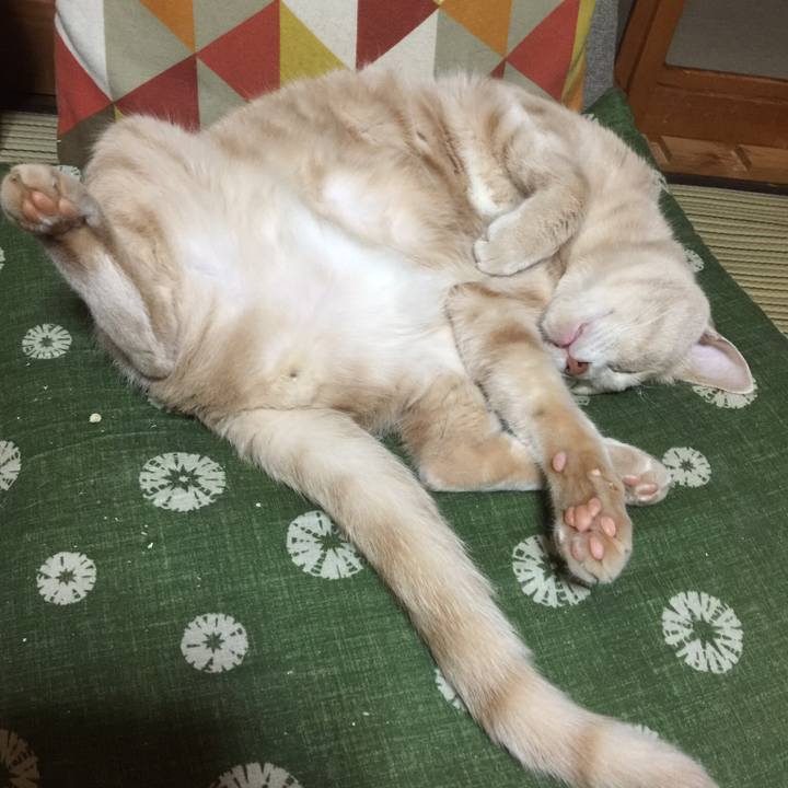 Cfc306d4 2246 41ed b536 f19c1a9a8640