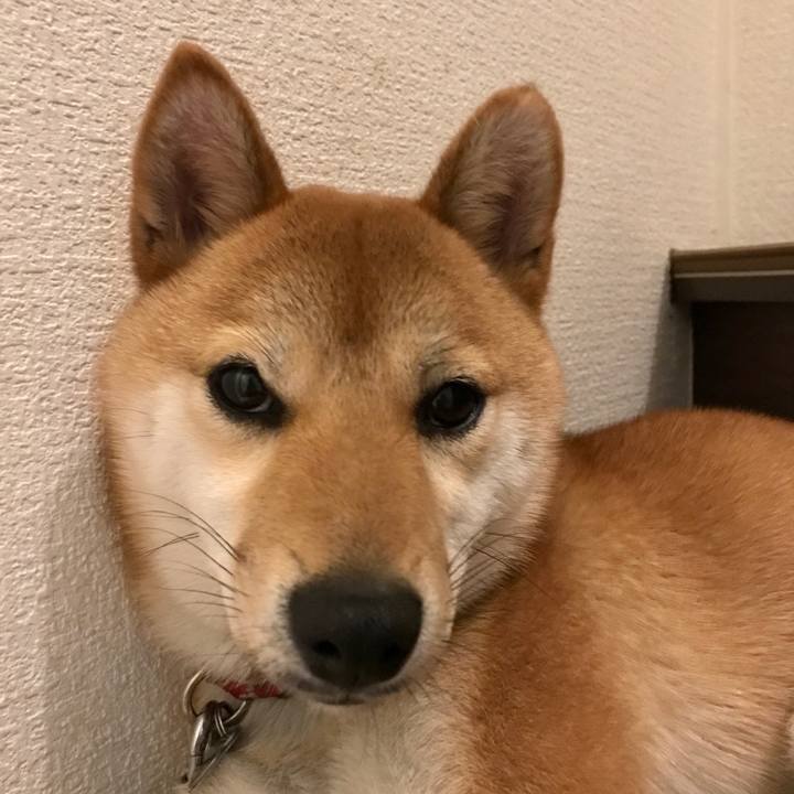 Cfc4b053 70b7 4497 bd88 c2444bbb1693