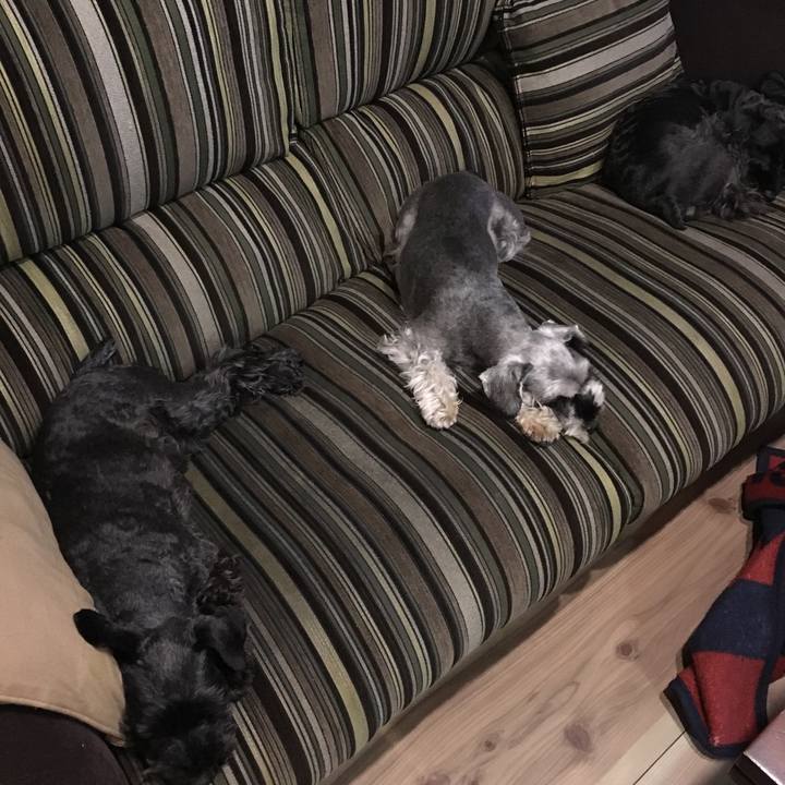 Cfc6dd4a 8c46 4ff5 b2b8 c94ab2822bad