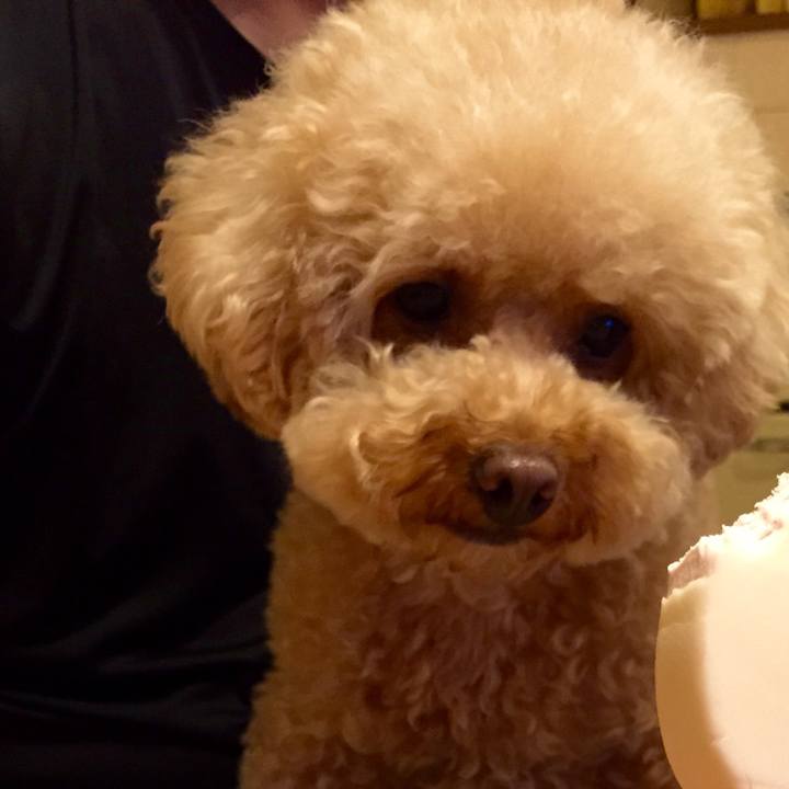 Cfc70708 2ab7 4c55 9cbd c0688588ce20