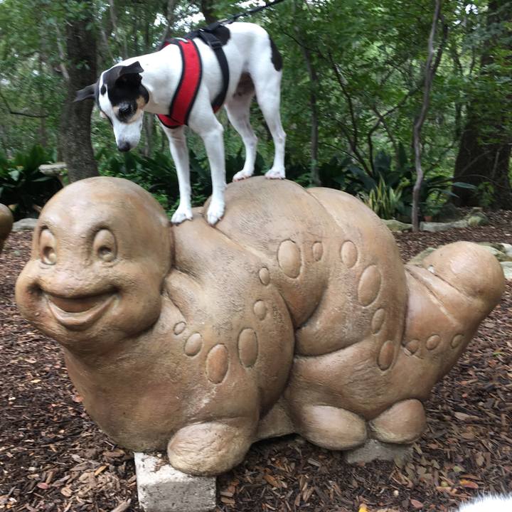 Cfc78ea2 08c7 4a94 8e99 7ba9241b3c97