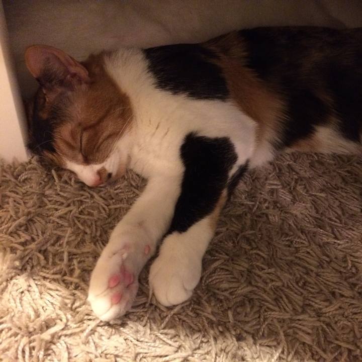 Cfc7a148 2a7d 4012 b956 b21a23906cfd