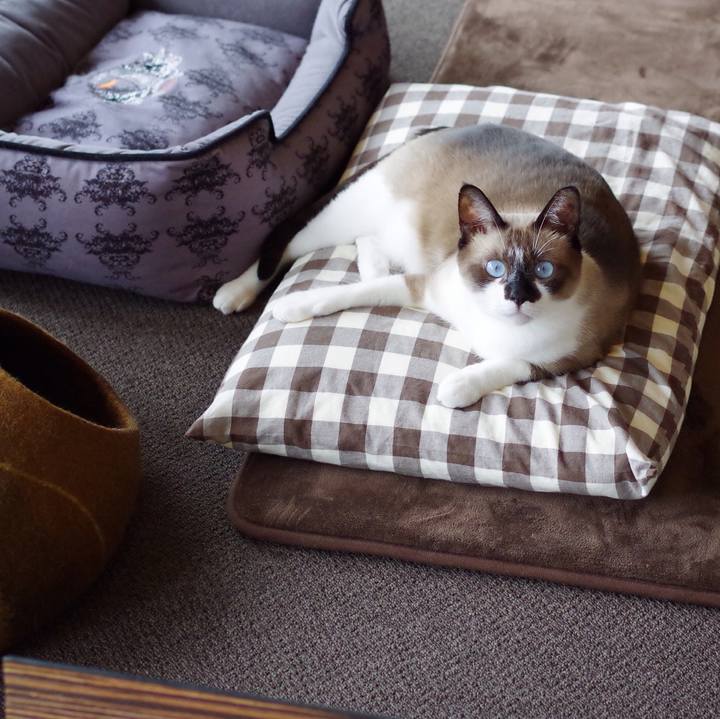 Cfc85f7a bb89 4073 ade2 be66d3296f42