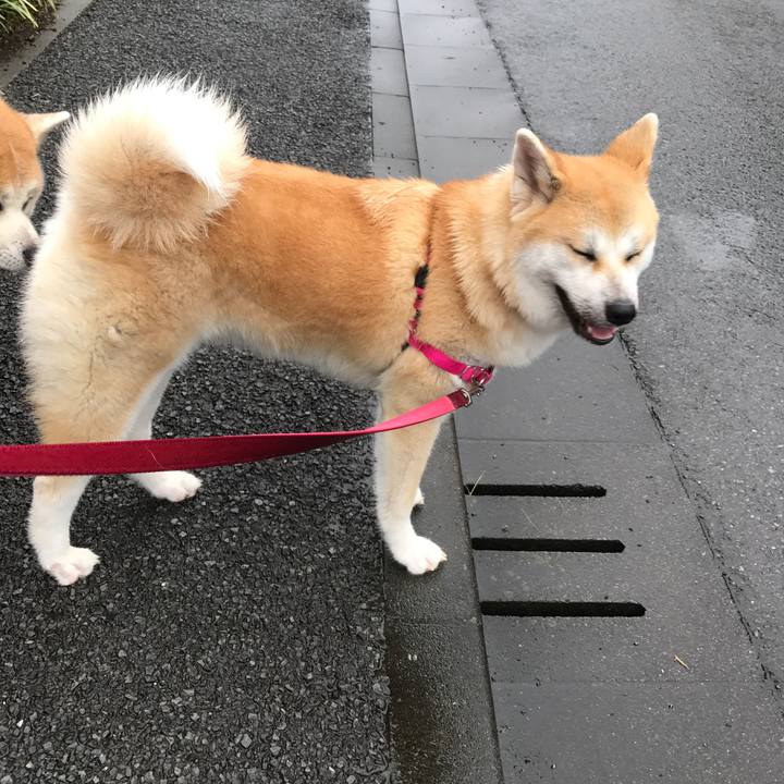 Cfc8a0b1 0f3a 4913 a3de 19cb658397c7