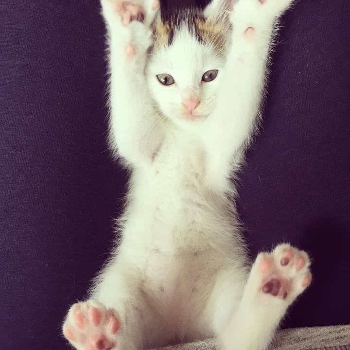 Cfc99627 f14e 4480 b635 27720e67b5a5