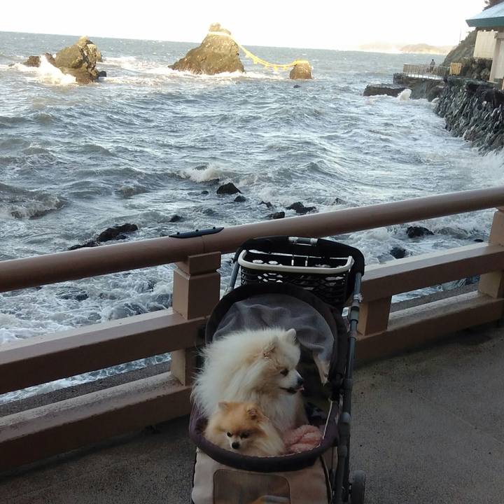 Cfc9ad68 1b99 4078 b84b a55f21c9fdba