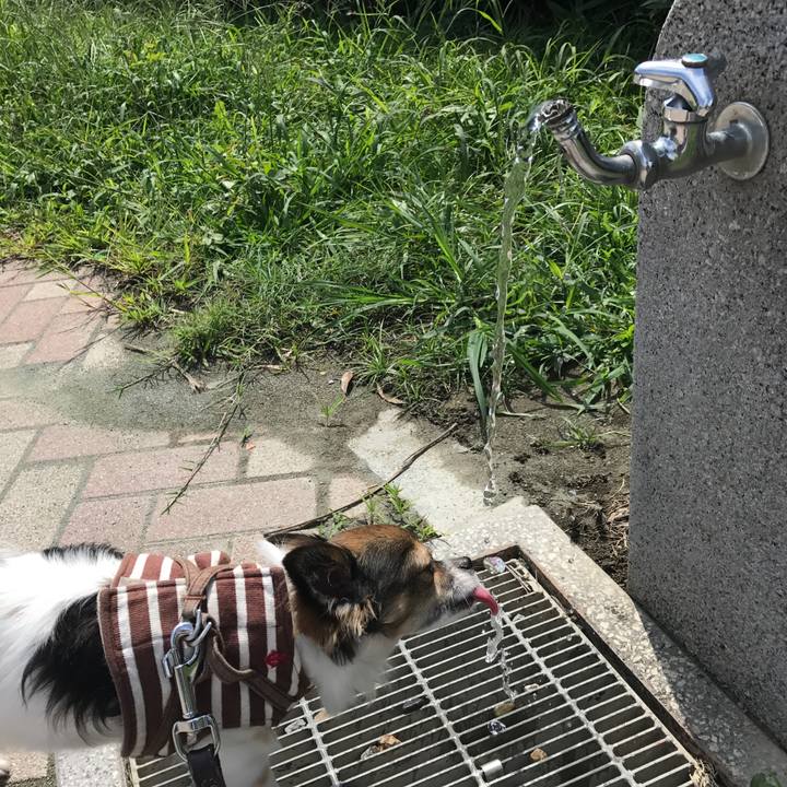 Cfc9d1bf 6c19 430e b36b 9a190af64c15