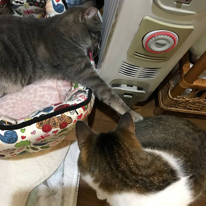 Cfcbac46 cb6f 4919 b8ac 5e3cf1606733