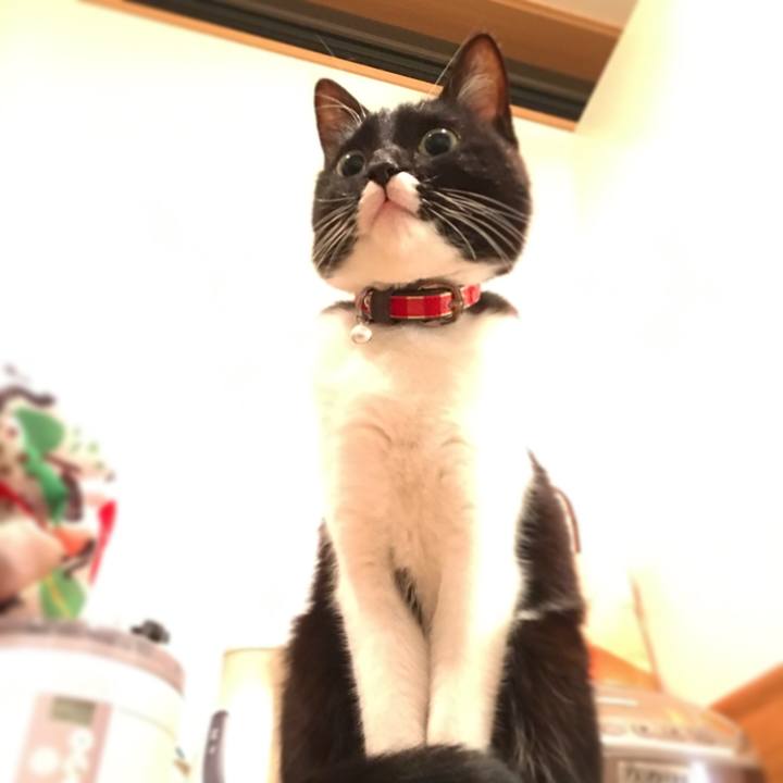 Cfcc2614 f832 4c25 b87c d215a7f7ab71