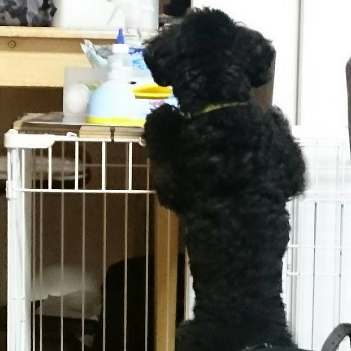 Cfcd029a 6f52 499d b8eb e992134e5f1d