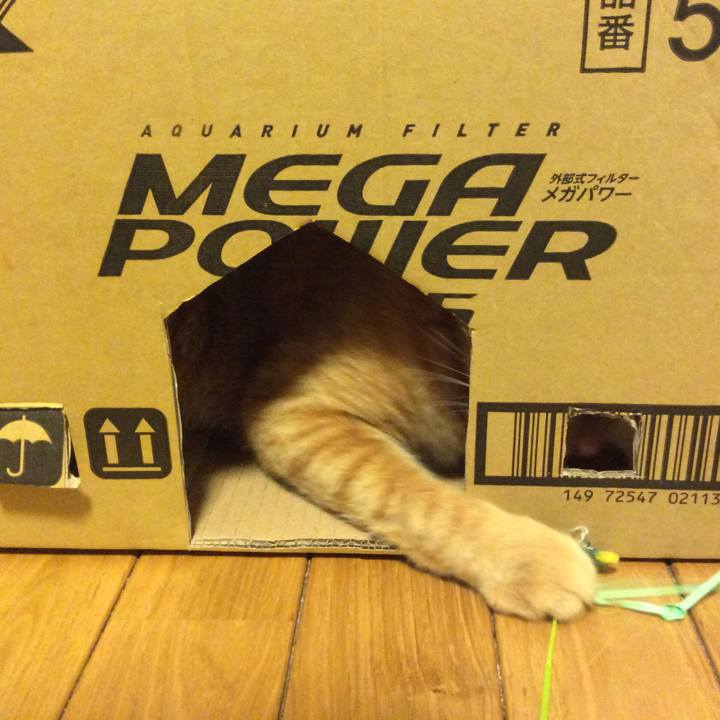 Cfcd4310 94e9 4788 ac64 943a14b8ea4f