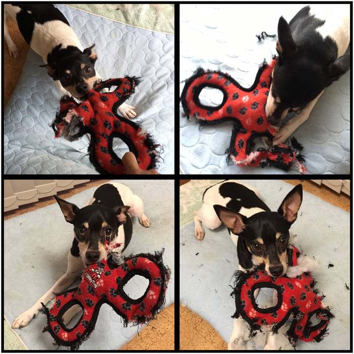 Cfcdf2ed b485 4cc9 b0a4 5dd19ec59b93