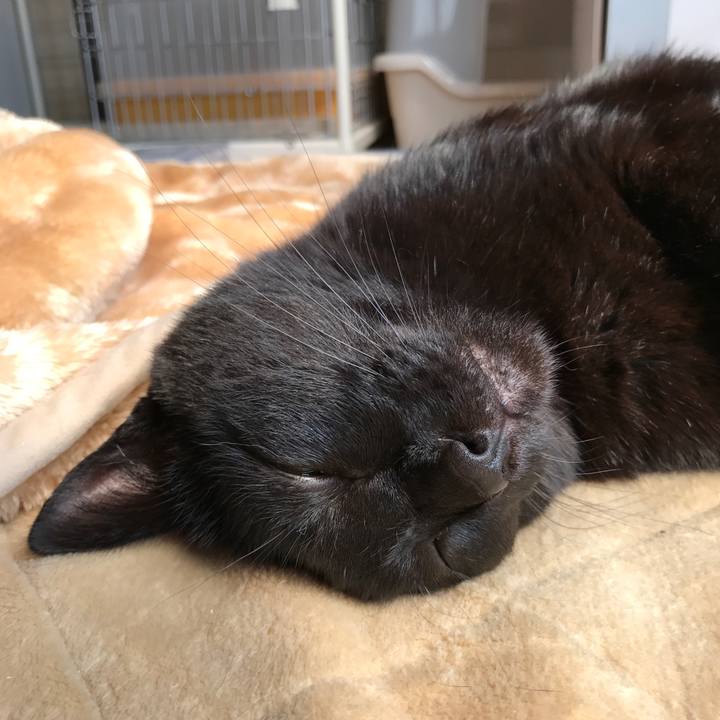 Cfce0831 c16d 439f a595 de026a15693f