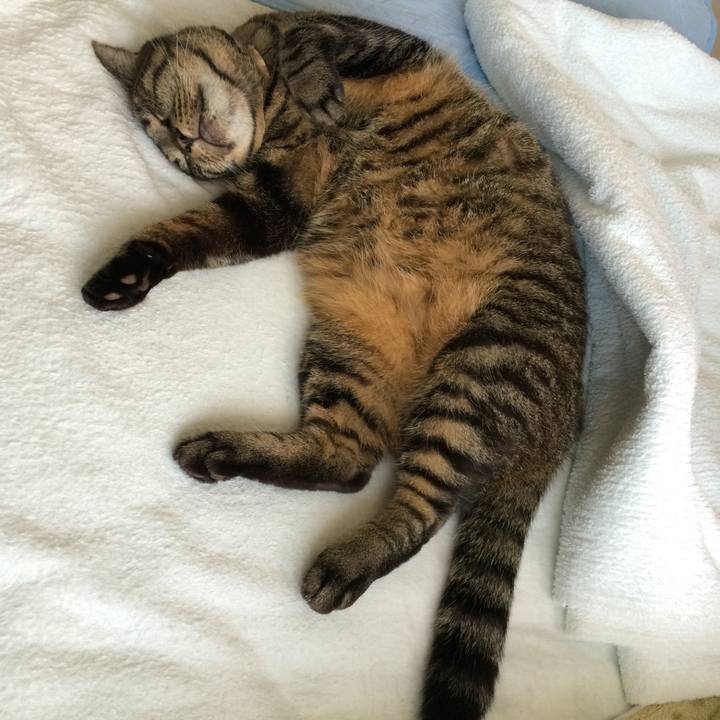 Cfcfb23d e648 44e4 becf a866ca1a8eb5