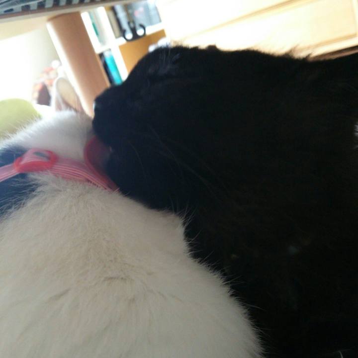 Cfd104d9 31cd 48eb 84d9 dc5f899eaaf5