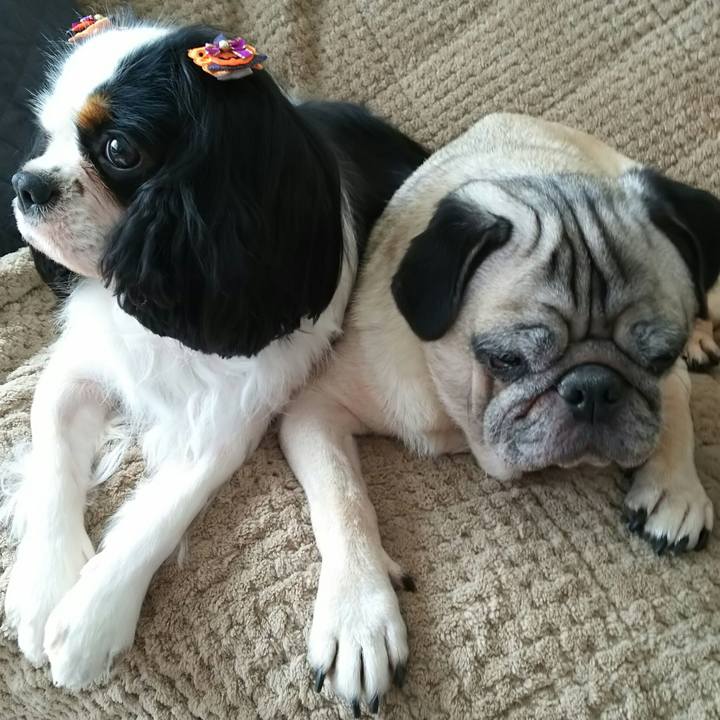 Cfd191de ec49 451c 9cf0 cc6c5686c7e4