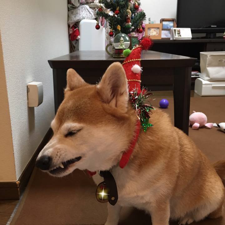 Cfd22fa2 62da 4583 b803 f8d92ec16c3a