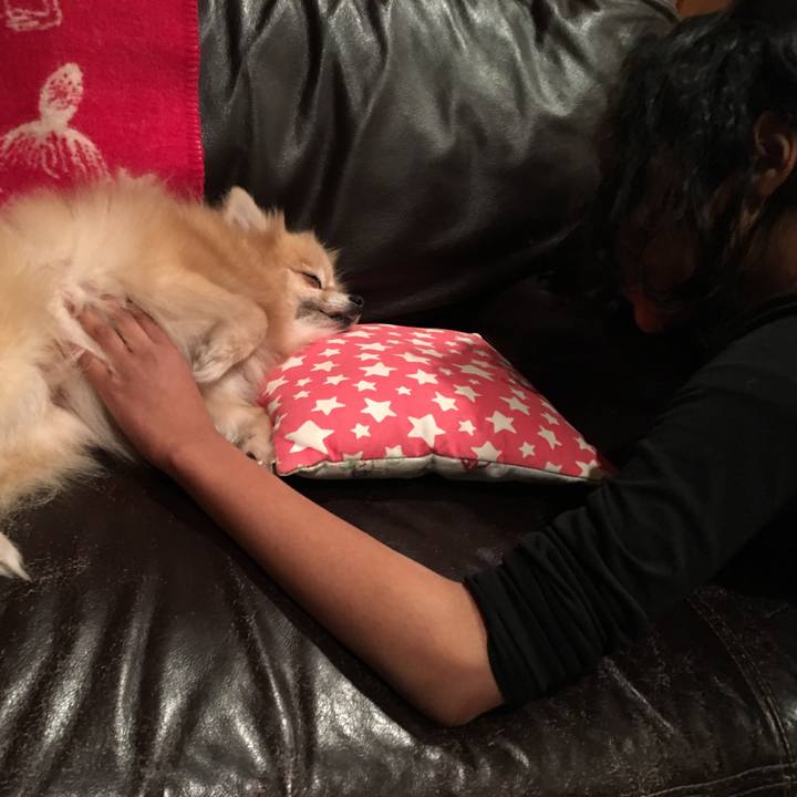 Cfd25237 1857 4e2b 8415 ffa9f46b7754