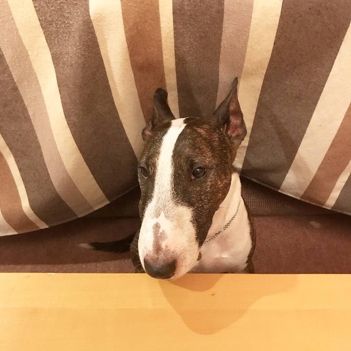 Cfd3633a 3ec6 49f6 b3a7 204e18b33dcf