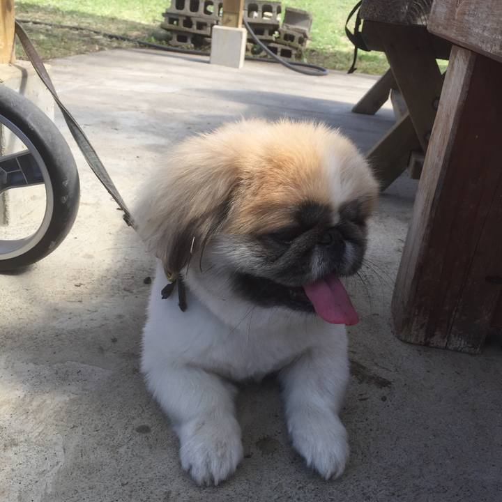 Cfd39830 d93f 4981 9b7b 0ee362a6a1b5