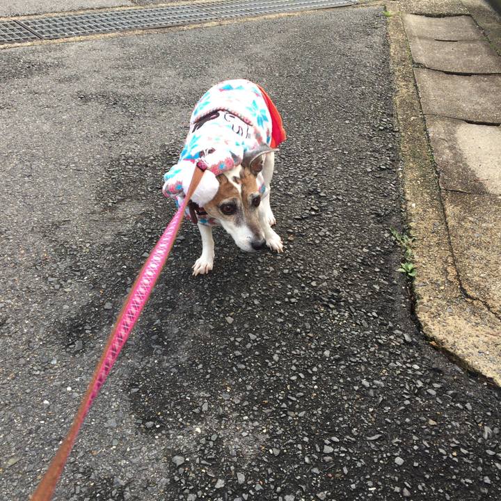 Cfd4a318 c609 47ec af8f 640ad2fbab1a