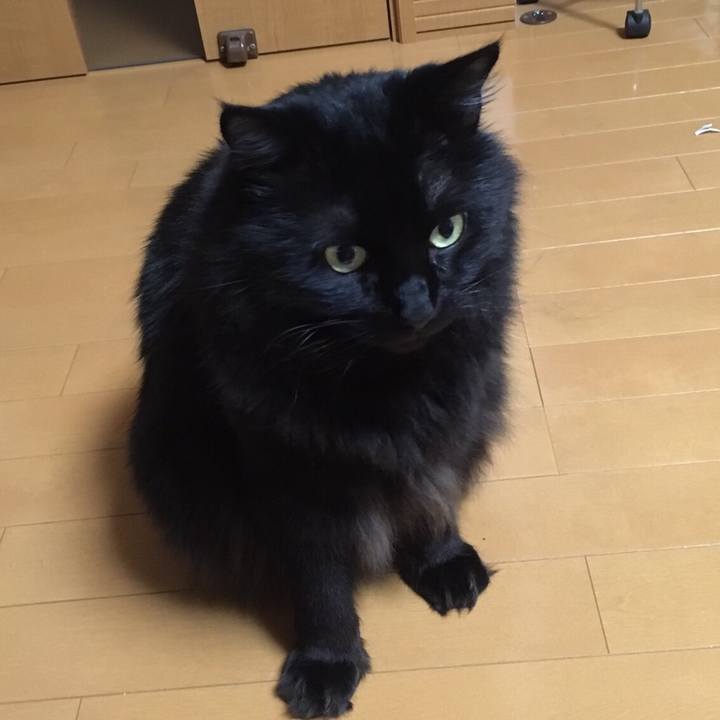 Cfd59d15 e435 4280 b0e5 eb00e393715b