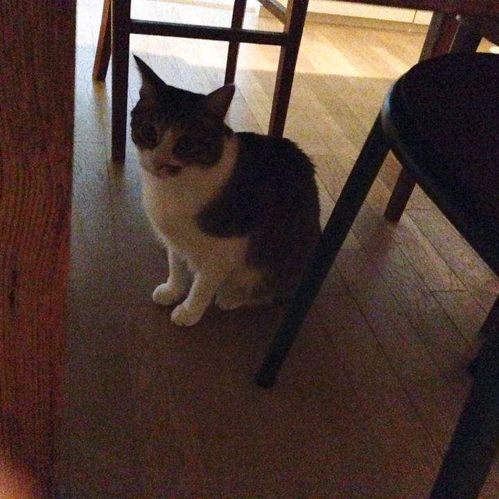 Cfd61244 1717 46b4 85b8 3fb68b9983b2