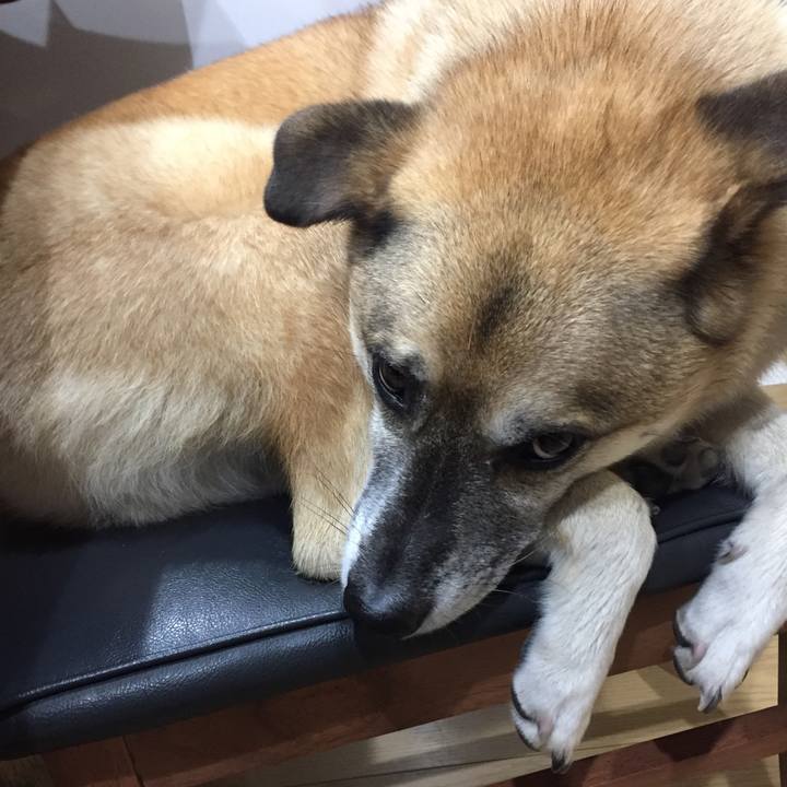 Cfd67e48 4826 4dd6 a515 9469c304fe8e