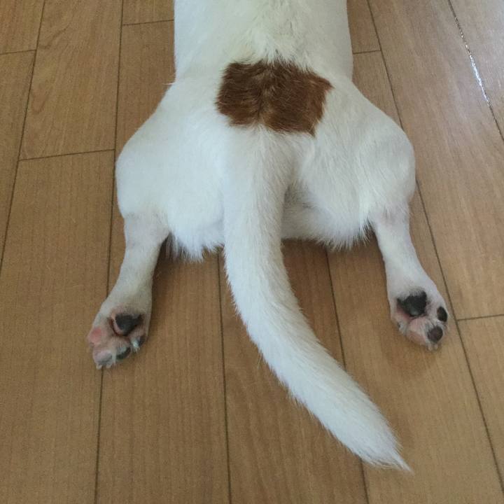 Cfd6f3f8 ca06 4e84 87c7 ebca77a464ee