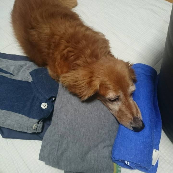 Cfd71ac8 7557 45c2 8c0d 0aa404956592