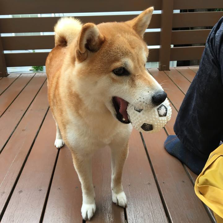 Cfd721e1 cea2 48ca 9460 66561710866a