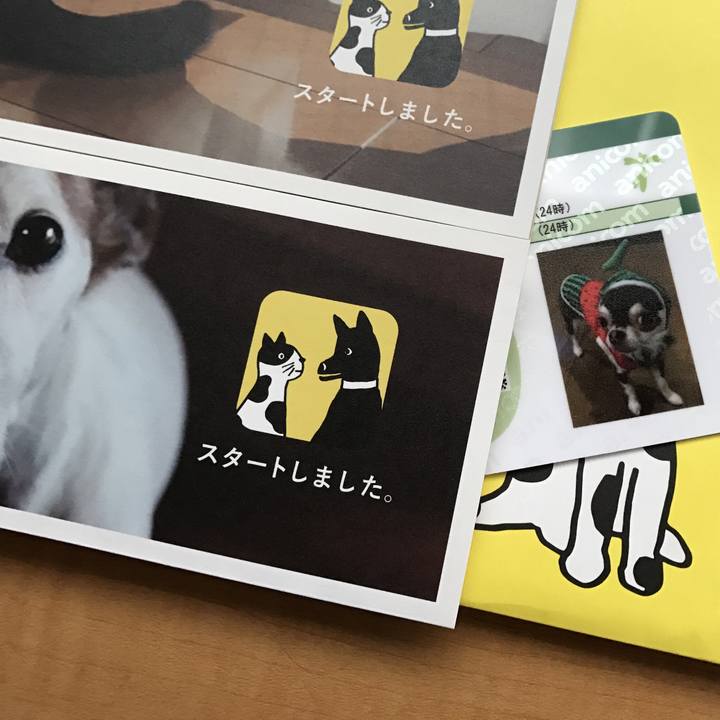 Cfd7dab0 5998 4167 914d b88735de9ea7