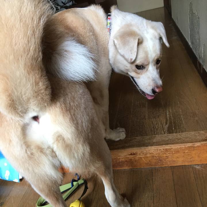 Cfd8117f d794 4bf7 af6b 018fd4c86765