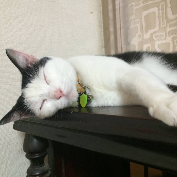 Cfd8471e 7270 4a0a b6e7 4ef67f84b97b