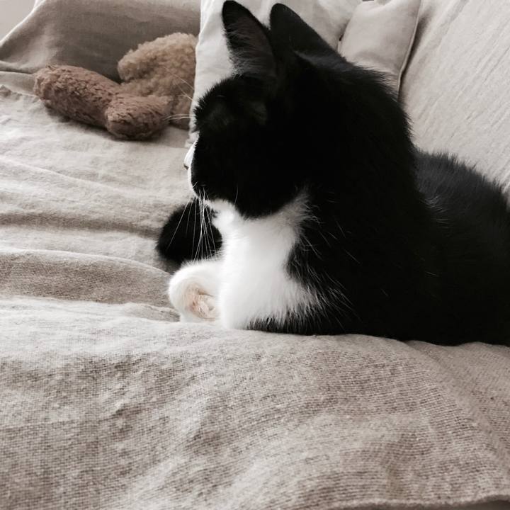 Cfd8d57d 7d13 4045 a827 a6facfe4060d