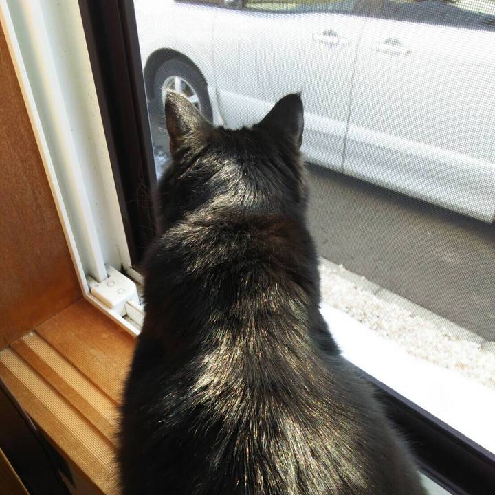 Cfd9366f b0a5 491b 8ddf 8472055b55e6