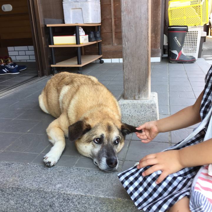 Cfd9e564 b8f6 4ce9 9e19 2914e72ff4a6