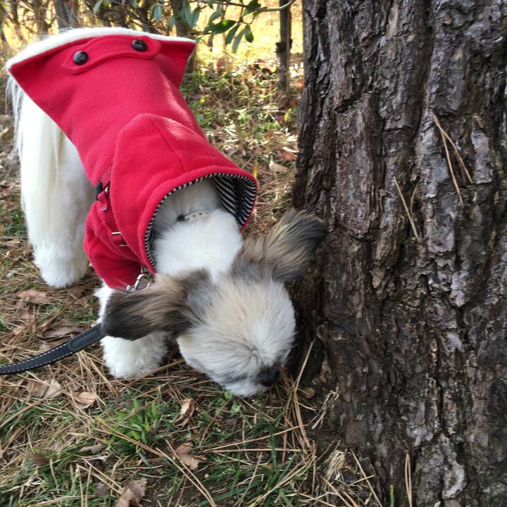 Cfda9566 2d92 4563 ae48 8f12e304d920