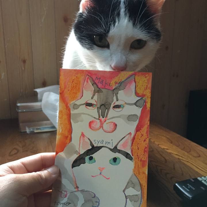 Cfdbbd4b 4104 4120 8893 a5d94b58aa2a