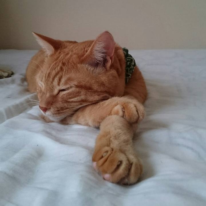 Cfdc38a0 c5da 4806 8ec3 99a1195622e7