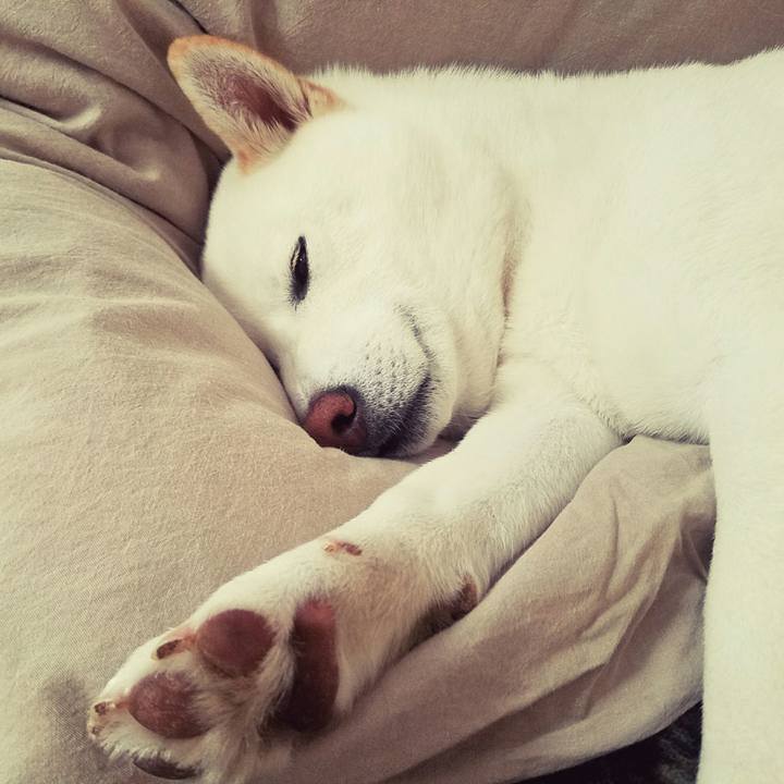 Cfdc3936 1e70 4d56 ba37 fbe8947cd61d