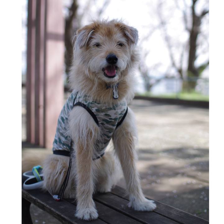 Cfddd857 b94f 4cc6 8db1 a458d41d697e