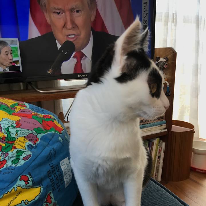 Cfde567f 202d 4f85 86ff b0e2b5f8884c