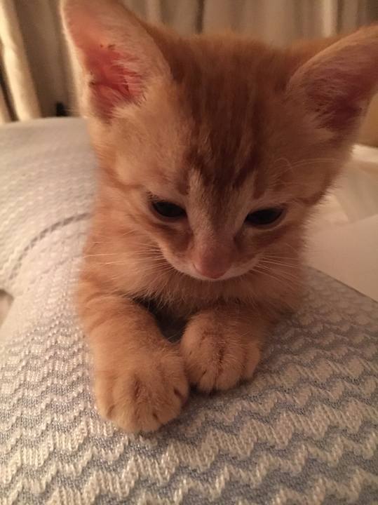 Cfde5dc7 5220 4850 a905 4db76c878262