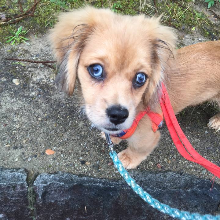 Cfdef11f dbfa 45a2 8bad 139b43179139